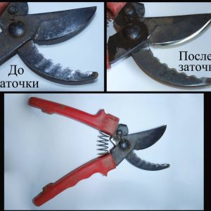 заточка Секатора