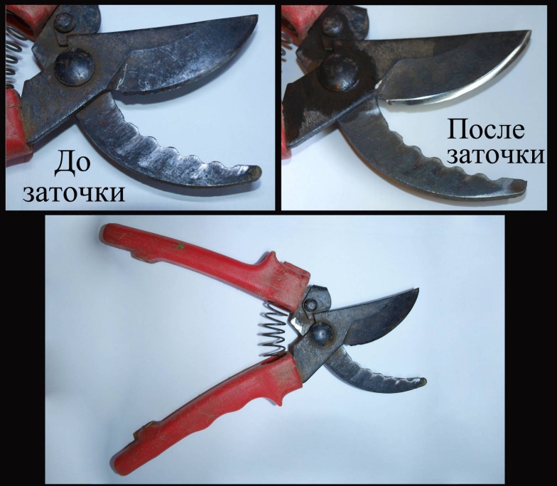 заточка Секатора